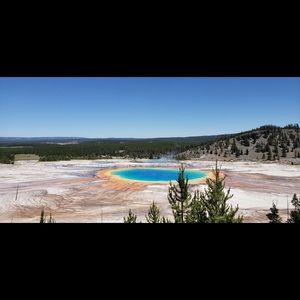 Meet your Posher, Torrie